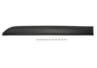 Decorative/protective panel, door