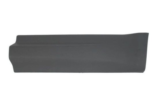 Decorative/protective panel, door