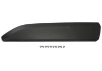 Decorative/protective panel, door