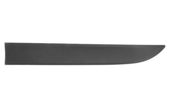 Decorative/protective panel, door