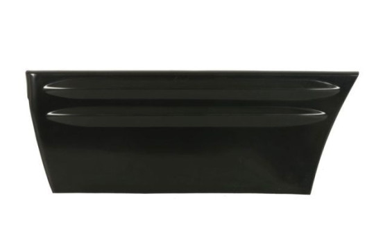 Decorative/protective panel, door