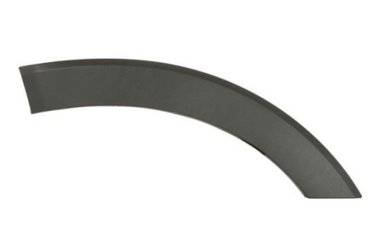 Decorative/protective panel, door