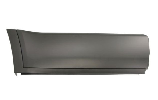 Decorative/protective panel, door