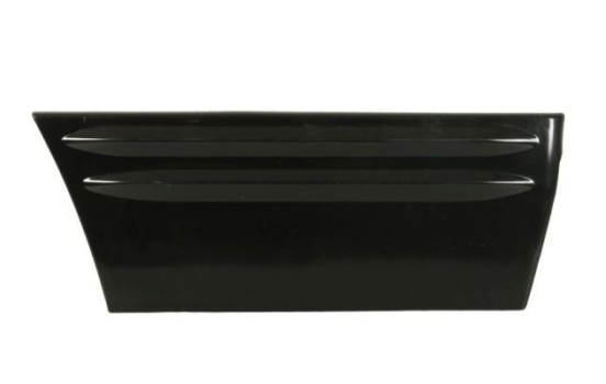 Decorative/protective panel, door