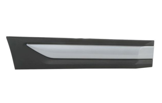 Decorative/protective panel, door