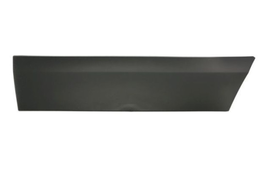 Decorative/protective panel, door