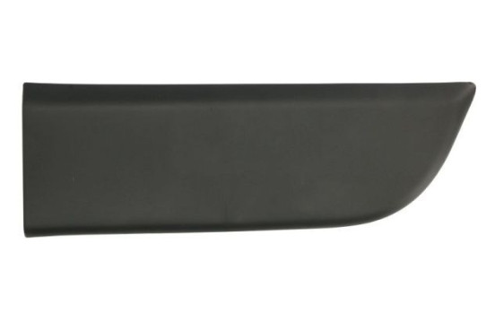 Decorative/protective panel, door