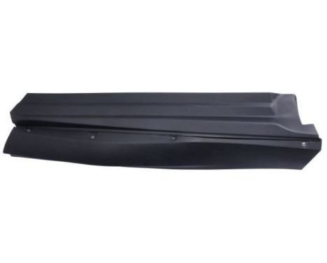 Decorative/protective panel, door