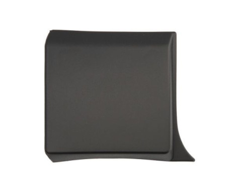 Decorative/protective panel, door