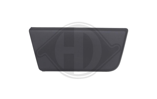 Decorative/protective panel, door