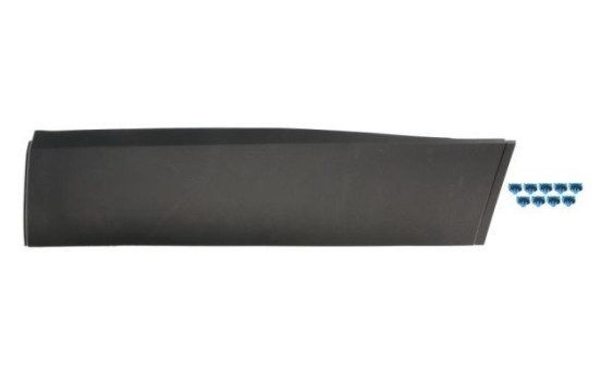 Decorative/protective panel, door