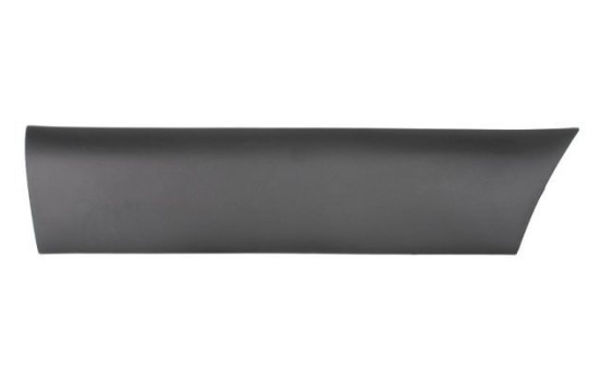 Decorative/protective panel, door