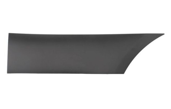 Decorative/protective panel, door