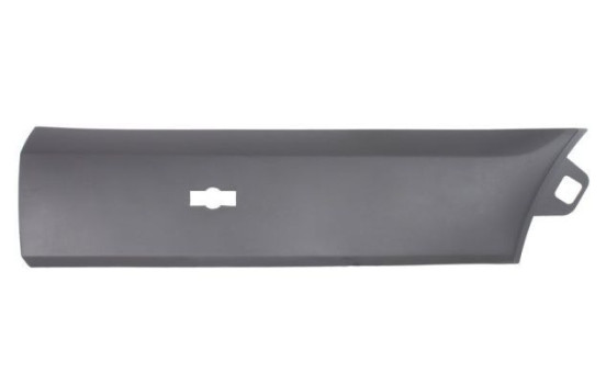 Decorative/protective panel, door