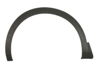 Decorative / protective panel, mudguard