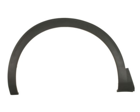 Decorative / protective panel, mudguard