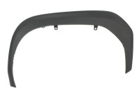 Decorative / protective panel, mudguard