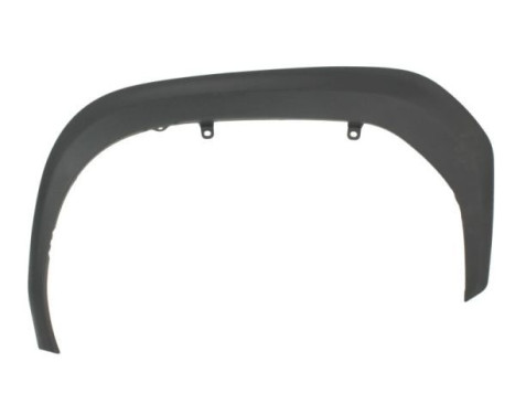 Decorative / protective panel, mudguard