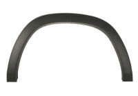 Decorative / protective panel, mudguard
