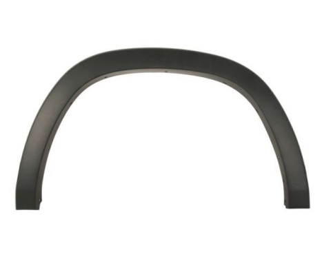 Decorative / protective panel, mudguard
