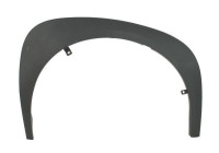Decorative / protective panel, mudguard