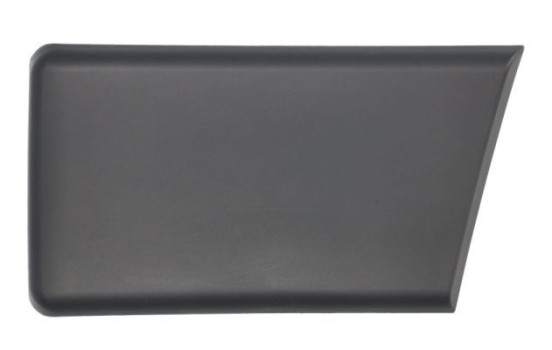 Decorative/protective panel, side wall