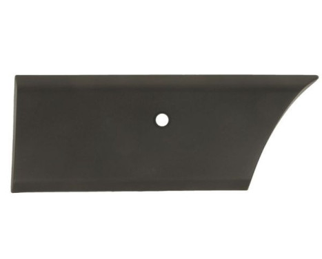 Decorative/protective panel, side wall