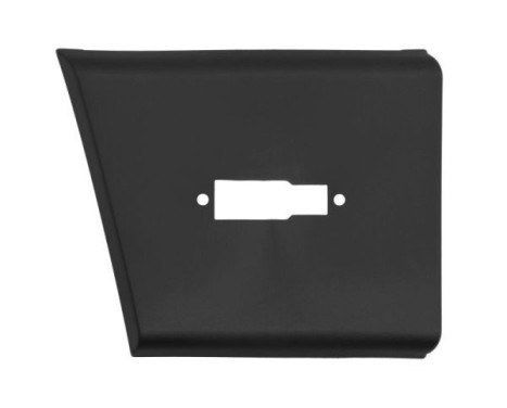 Decorative/protective panel, side wall