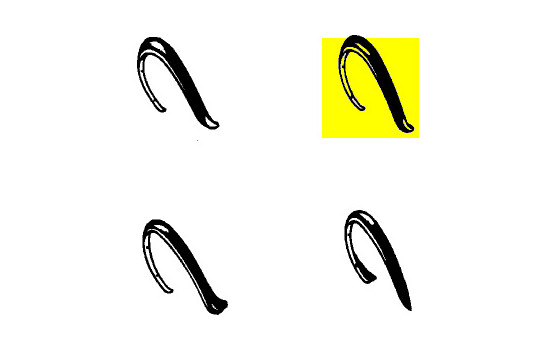 Decorative Strip, wing