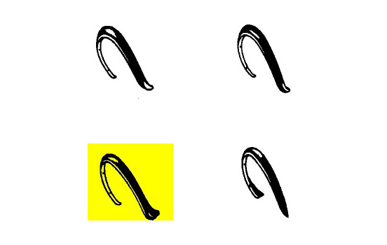 Decorative Strip, wing