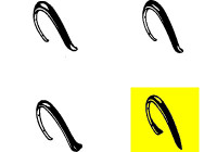 Decorative Strip, wing