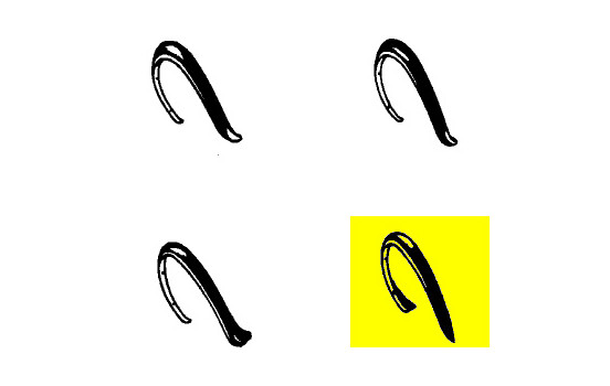 Decorative Strip, wing