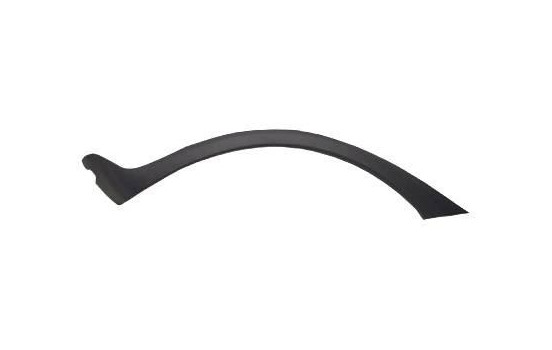 Decorative Strip, wing