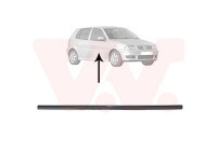 DOOR MOLDING FR (4/5 D)