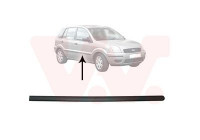 DOOR MOLDING FR (4/5 D)