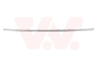 FRONT BUMPER MOLDING CENTER