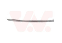 FRONT BUMPER MOLDING L.