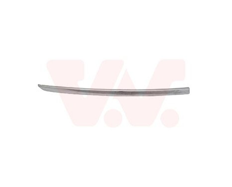 FRONT BUMPER MOLDING L.