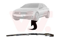 FRONT BUMPER MOLDING L.