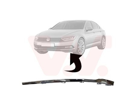 FRONT BUMPER MOLDING L.