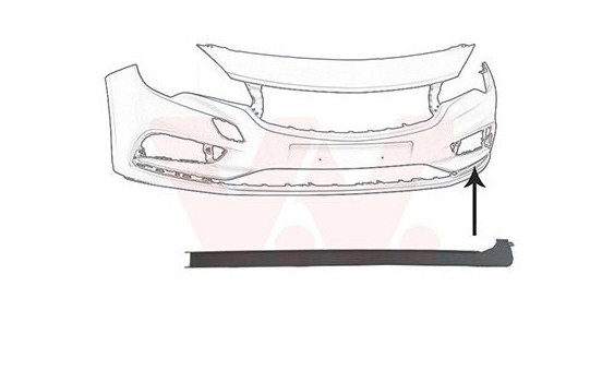 FRONT BUMPER MOLDING L.