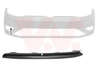 FRONT BUMPER MOLDING R.