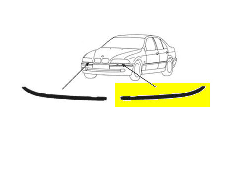 Headlight Trim, Image 2