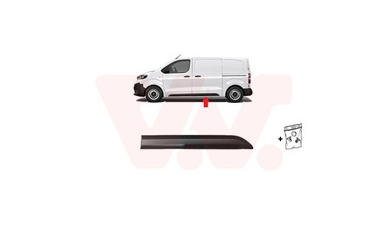 MOLDING SIDE DOOR L.