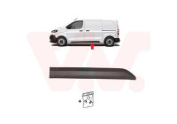 MOLDING SIDE DOOR L.