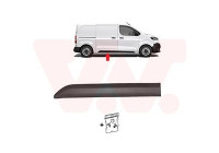 MOLDING SIDE DOOR R.