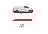 MOLDING SIDE DOOR R.