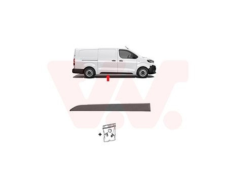 MOLDING SIDE DOOR R.