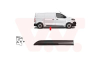 MOLDING SIDE DOOR R.