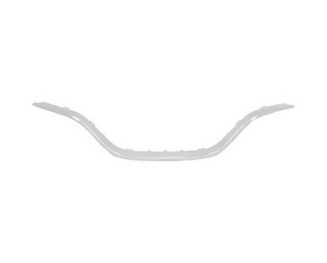 Plate, radiator grille